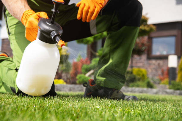 Best Pest Removal Services  in Cherryland, CA