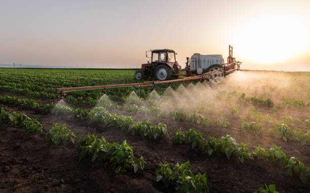 Best Mosquito Control Services  in Cherryland, CA