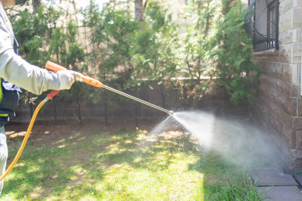 Best Pest Prevention Services  in Cherryland, CA