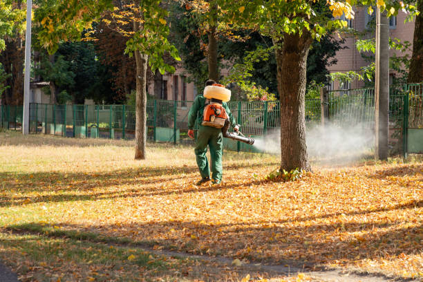 Best Pest Inspection Near Me  in Cherryland, CA